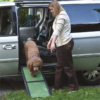 Ramp - Bi-Fold Pet Ramp - Image 2