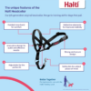 CoA Halti Headcollar Size 0 Black - Image 2