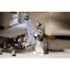Feather Boa Asst - Image 7