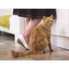 PetSafe Staywell 900 Series Extension Tunnel - Image 5