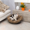 SOFA' CUSHION 2 - Image 5