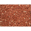 Peanuts 20kg - Image 2