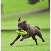 Grubber Interactive Rugby Ball