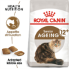 Royal Canin Cat Ageing 12+ 400g - Image 2