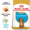 Royal Canin Dog Dachund Puppy 1.5kg - Image 2