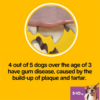 PEDIGREE Dentastix Fresh Daily Dental Chews Small Dog 7 Stick - Image 3