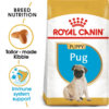 Royal Canin Dog Pug Puppy 1.5kg - Image 2