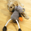 Rosewood Mister Twister Teddy Twister Dog Toy - Image 4
