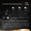 SHEBA Fine Recipes Cat Tray with Turkey in Sauce 85g - Image 6