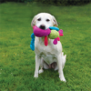 Rosewood Chloe Cow Plush Dog Toy - Image 6
