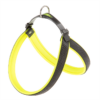 AGILA FLUO 6