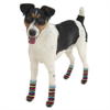 PET SOCKS ANTISLIP MEDIUM - Image 2