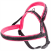 SPORT DOG P MEDIUM