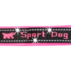 SPORT DOG P MEDIUM - Image 5