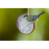 Suet Coconut Half - Image 2