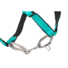 PetSafe 3 in 1 Harness and Car Restraint, Small, Black