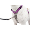 PetSafe 3 in 1 Harness and Car Restraint, Small, Black - Image 2