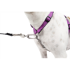 PetSafe 3 in 1 Harness and Car Restraint, Large, Black - Image 3