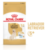 Royal Canin DOG Labrador 5 Plus 12kg - Image 2
