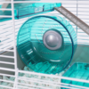 Rosewood Pico Exercise Wheel for Hamsters with Stand Teal - Image 6