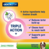 PEDIGREE Dentastix Fresh Daily Dental Chews Medium Dog 5 Sticks - Image 4