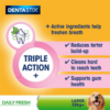 PEDIGREE Dentastix Fresh Daily Dental Chews Large Dog 4 Sticks - Image 4