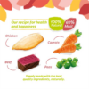 HiLife It's Only Natural The Luxury Jelly Collection Wet Dog Food Pouches 5x100g - Image 3