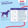 CoA Halti No Pull Harness Medium - Image 3