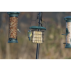 Suet Blocks with Mealworms - Image 2
