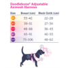 Doodlebone Adjust Airmesh Harness Mint 4-7 - Image 2