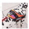 Julius-K9 Idc Power Harness Mini Crazy - Image 2